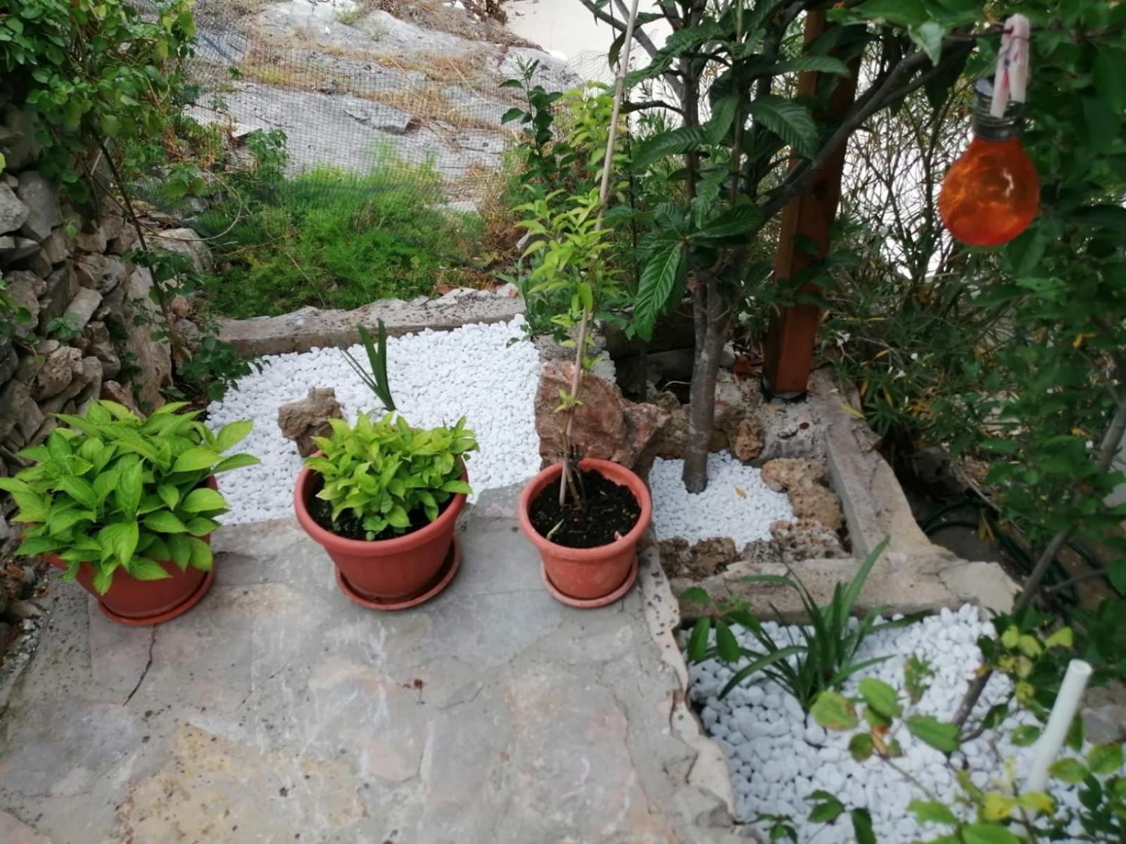 Mala Basina -Maslina Apartman Vrbanj Kültér fotó