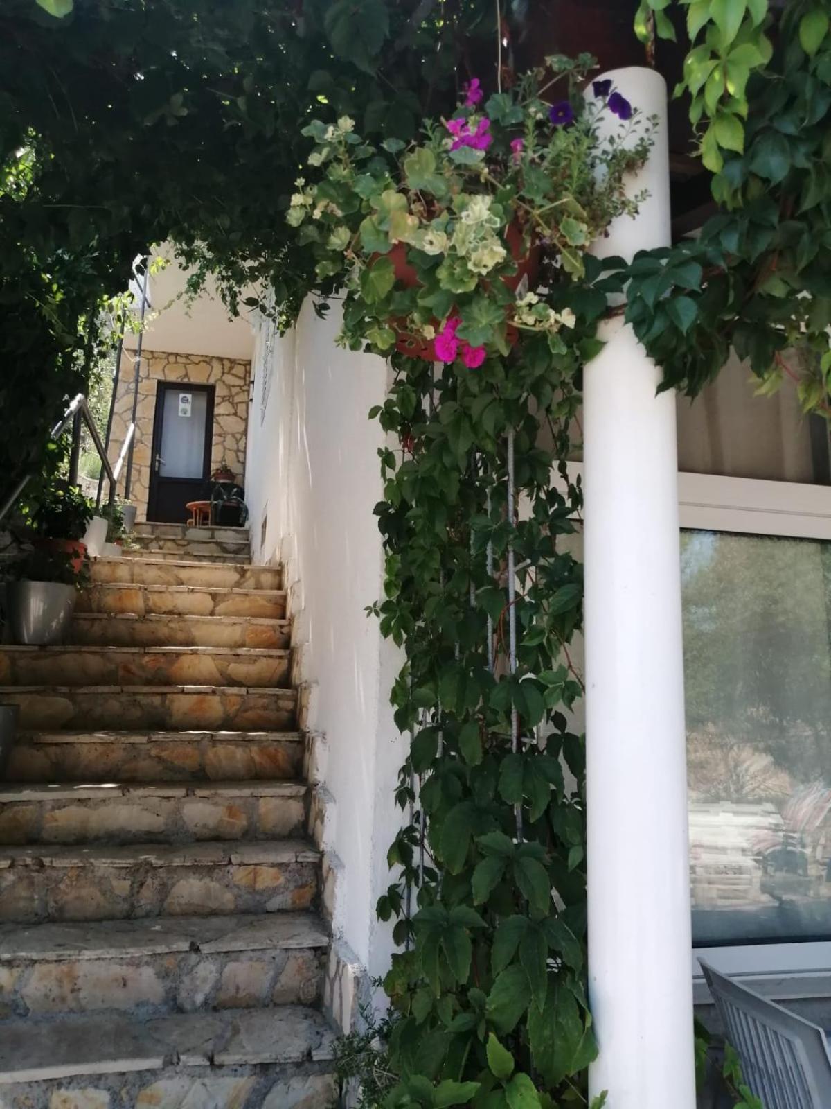Mala Basina -Maslina Apartman Vrbanj Kültér fotó